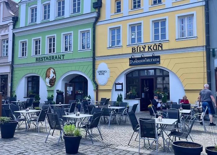 A Restaurace Bily Kun Frýdlant