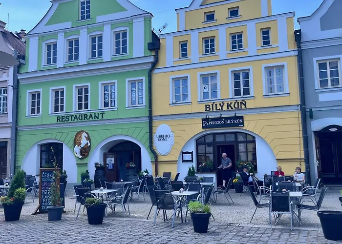 A Restaurace Bily Kun Pensionat Frýdlant